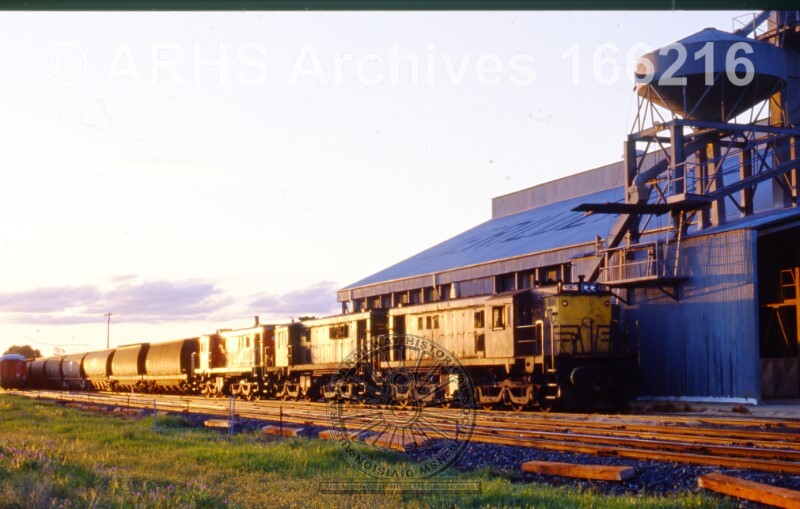ALUMINIUM HOPPER WAGON WHEAT TRAIN ON SILO SIDING TRAIN IS TRIPLE HEADED BY 48-CLASS ENGINES, UNKNOWN LOCATION, NSW, [N.D.]
