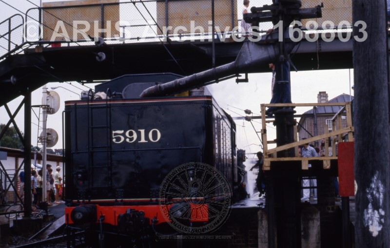 LOCOMOTIVE 5910 TAKING WATER, GOSFORD, NSW, [N.D.]